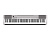 Casio CDP-130BK