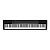 Casio CDP-130BK