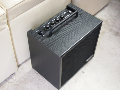Ibanez IBZ10Bv2 фото 3