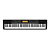 Casio CDP-230
