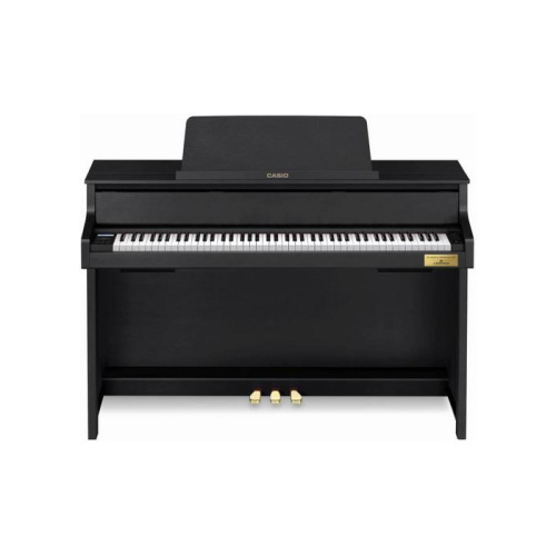 Casio GP-300