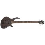 Epiphone Toby Deluxe-IV Bass TKS