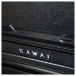 Kawai CA401 B