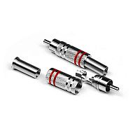 Invotone RCA100M RD