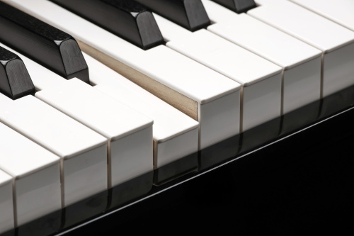 Kurzweil CUP G1W BP фото 10