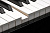 Kurzweil CUP G1W BP