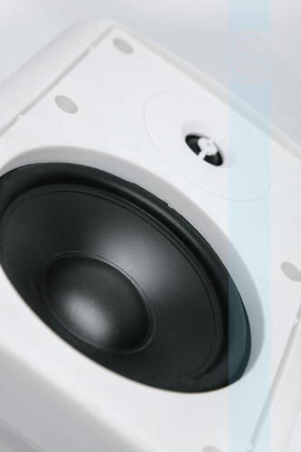 CVGaudio NF5TW фото 6