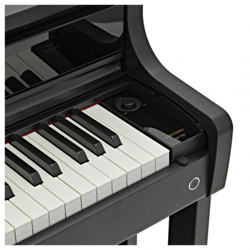 Casio AP-750BK фото 4