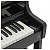 Casio AP-750BK