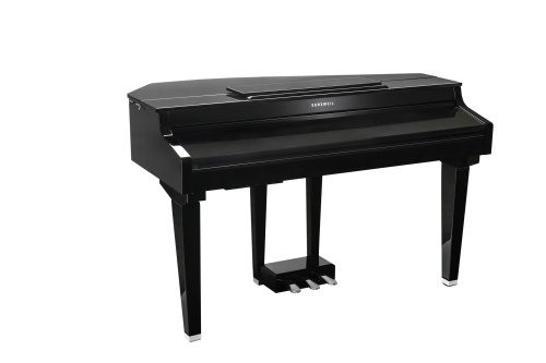 Kurzweil CUP G1W BP фото 14