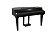 Kurzweil CUP G1W BP