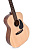 Ditson G-10