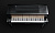 Kawai NV10S
