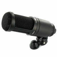 Audio-Technica AT2020