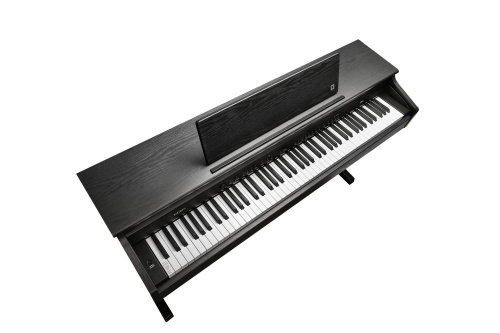 Kurzweil CUP E1 BK фото 5