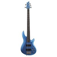 Schecter C-5 DELUXE SMLB