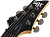 Schecter SGR C-1 EB