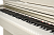 Becker BDP-82W