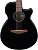 Ibanez AEG50-BK