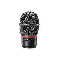 Audio-Technica ATW-C6100