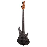 Schecter C-5 STANDARD CS