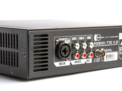 CVGaudio ReBox-T12 v.2 фото 5