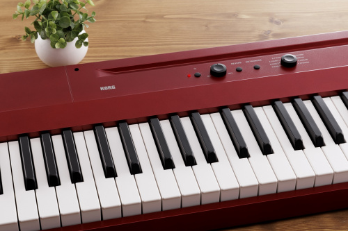 Korg L1 MR фото 2