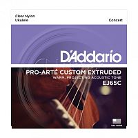 D'Addario EJ65C