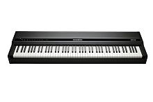 Kurzweil MPS110
