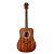 Rockdale Aurora D6 Satin All-Mahogany