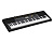Casio CTK-2500