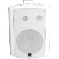 HK Audio IL 80-TW