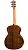 Taylor 114e 100 Series