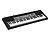 Casio CTK-1500