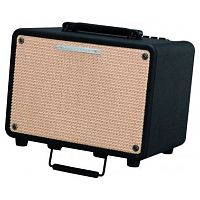 Ibanez T30-U Troubadour Acoustic Combo
