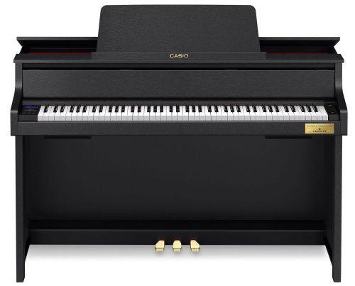 Casio GP-310BK