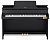 Casio GP-310BK