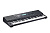 Kurzweil KP100