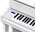 Casio GP-310BWE