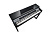 Kurzweil CUP P1 SR