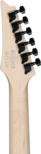 Ibanez RG421DX-TWS фото 5
