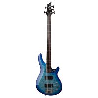 Schecter C-5 PLUS OBB