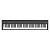 Roland FP-30X BK