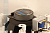 CVGaudio CR6TE