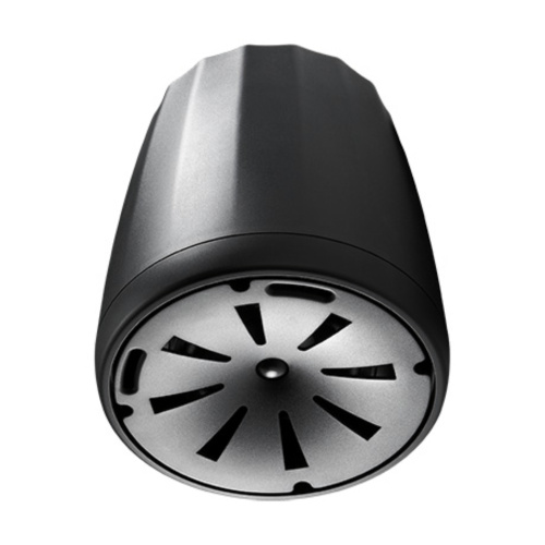 JBL Control 65 P/T