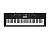 Casio CTK-2400