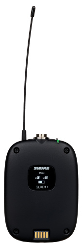 Shure SLXD14+E/153B-G65 фото 6