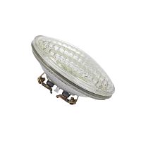 Osram DWE PAR36