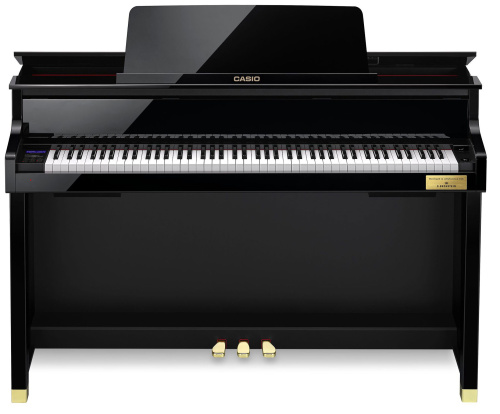 Casio GP-510BP