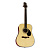 Greg Bennett D5/N